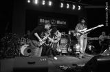 Marcus Miller 