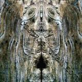 covers by cifarelli
