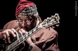  james blood ulmer