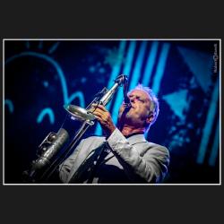 Stefano Cocco Cantini Francesco Maccianti Ares Tavolazzi Piero Borri Daniela Morozzi