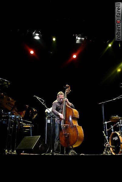 Avishai Cohen