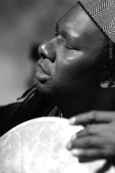 hamid drake