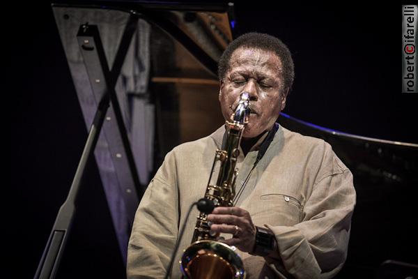 wayne shorter