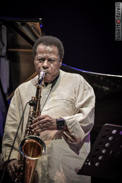 wayne shorter