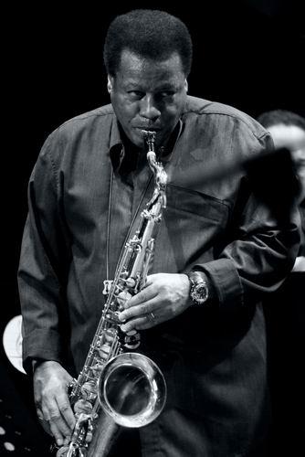 wayne shorter