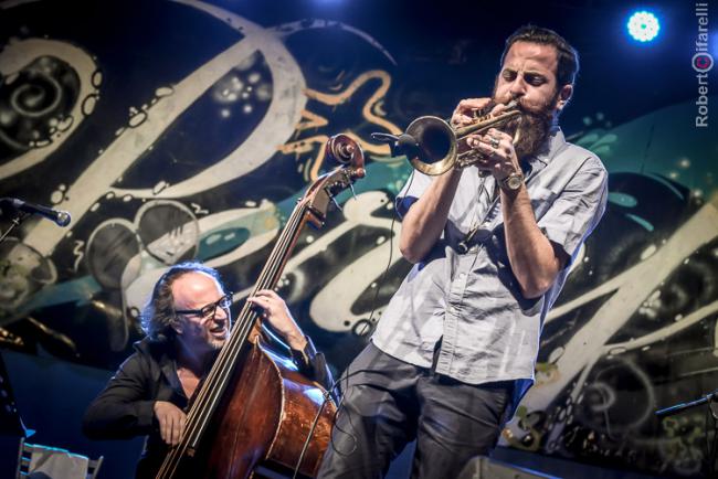 Avishai Cohen