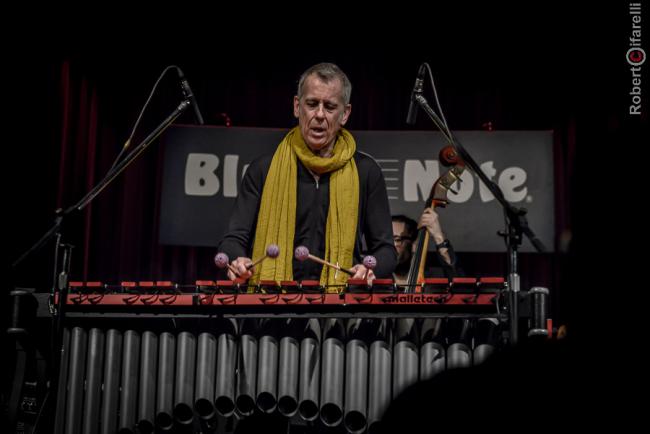 Joe Locke