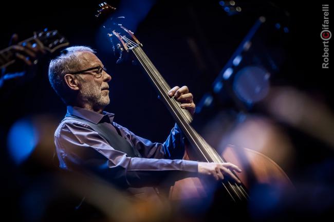 Dave Holland