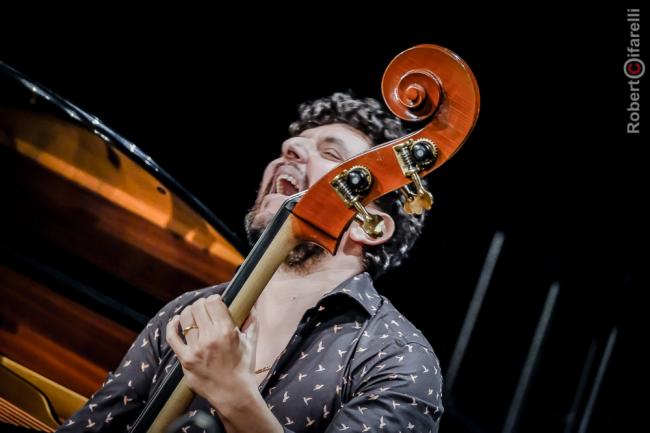 Omer Avital