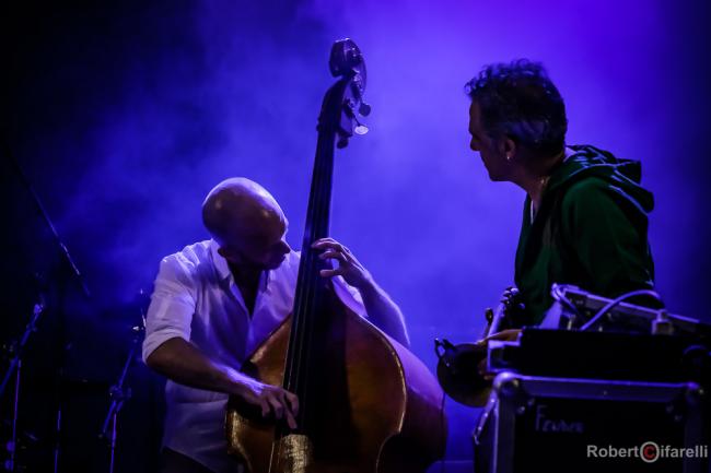 Dhafer Youssef