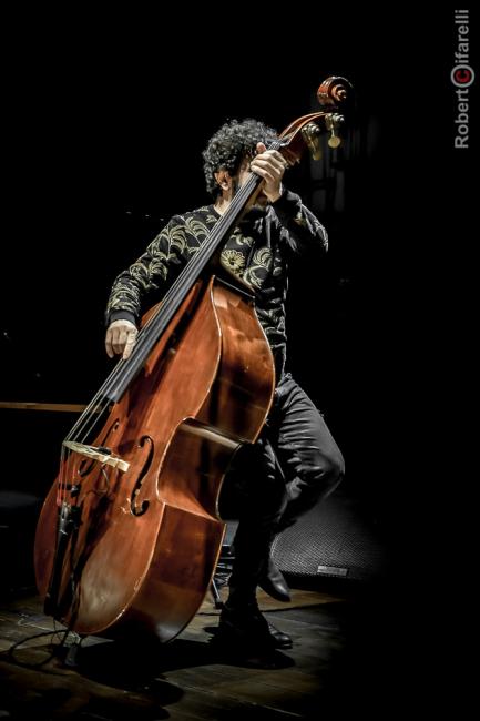 Omer Avital