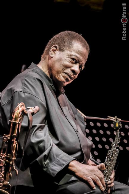 wayne shorter