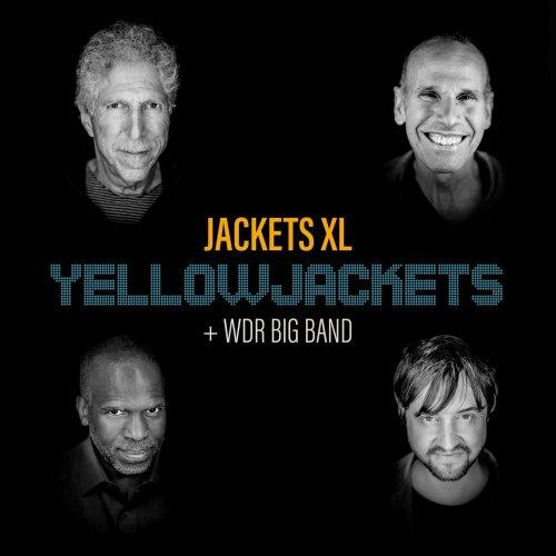 yellowjacketz Jackets XL DR big Band