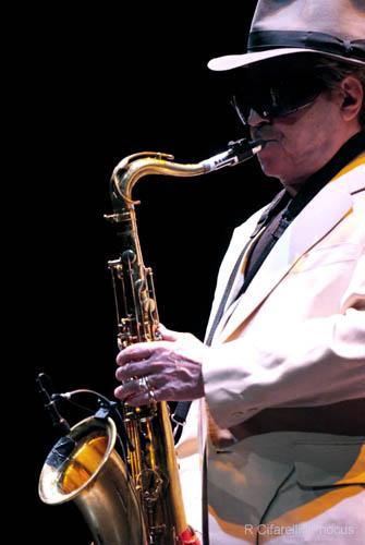 gato barbieri