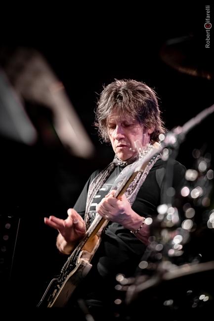 Rocco Zifarelli