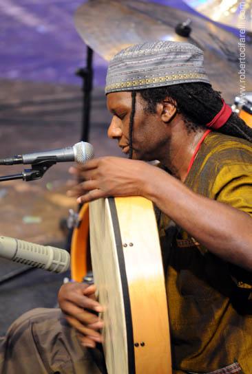 hamid drake